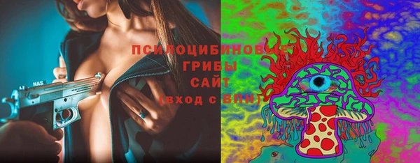 спайс Аркадак