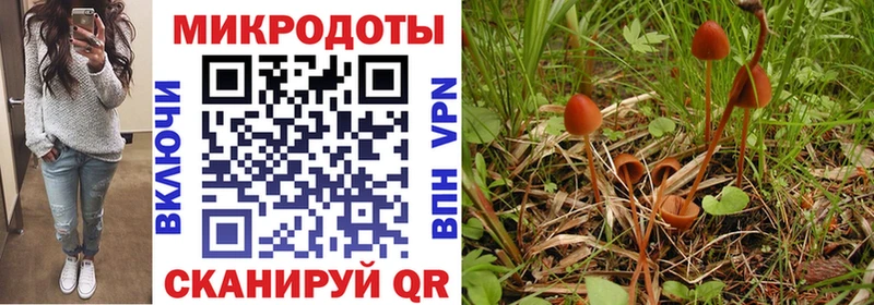 Галлюциногенные грибы ЛСД  закладки  Почеп 